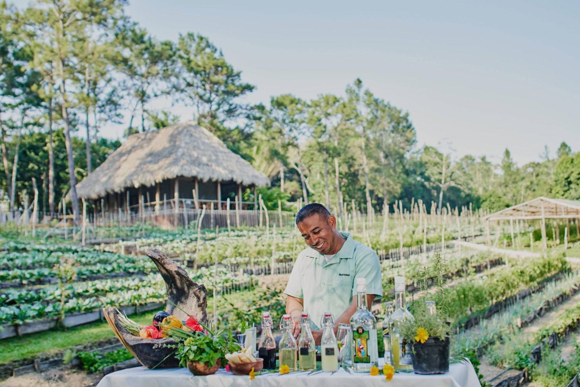 Blancaneaux By Francis Ford Coppola Lodge *