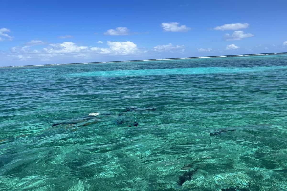 Residences At Barrier Reef 8c Oceanview 2 Bedroom By Floreo Holiday home
