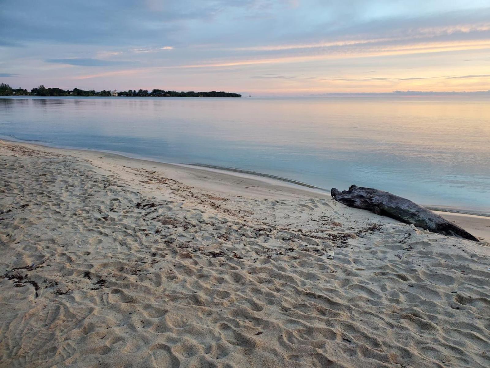 Imani's Placencia