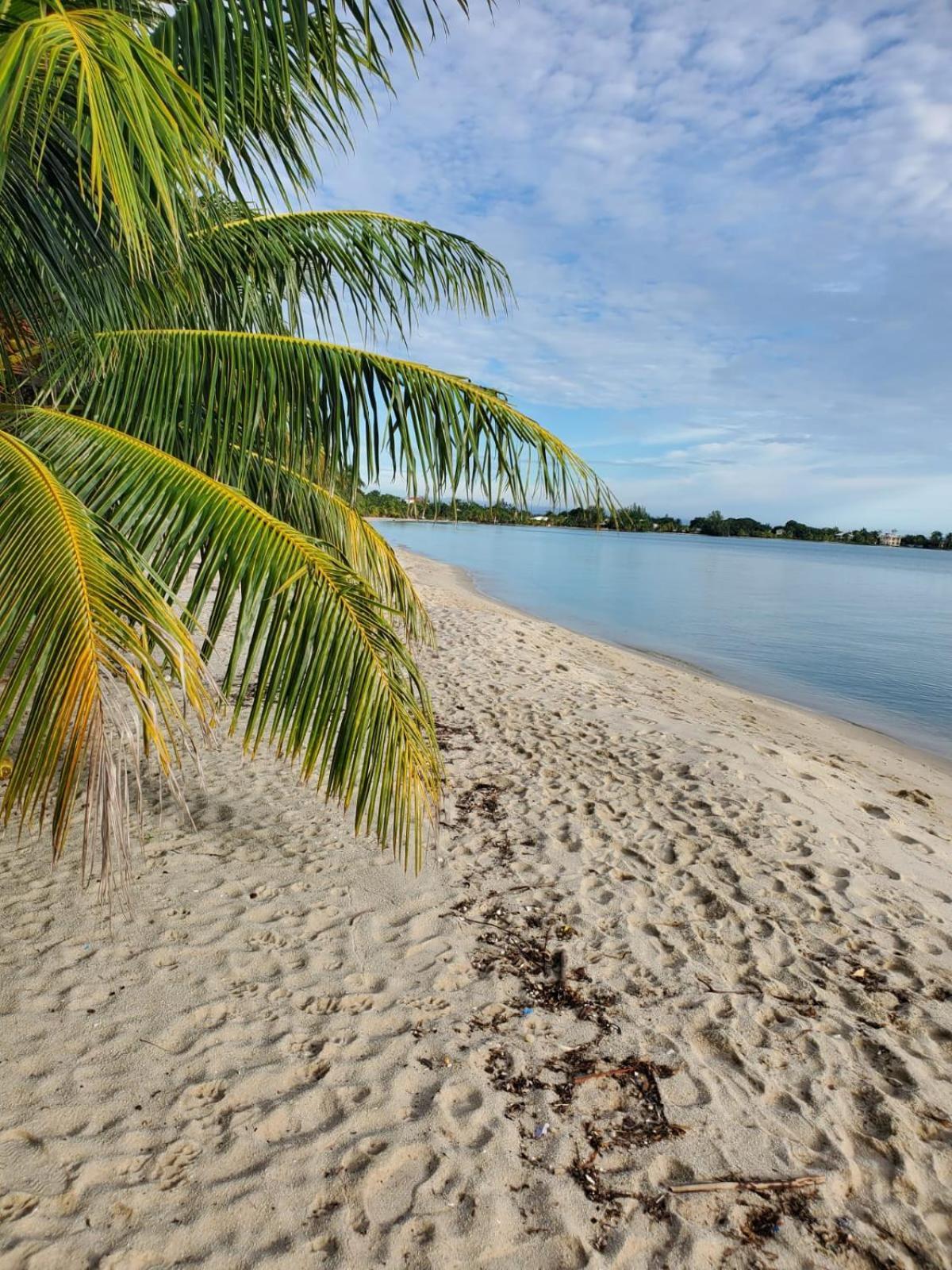 Imani's * Placencia