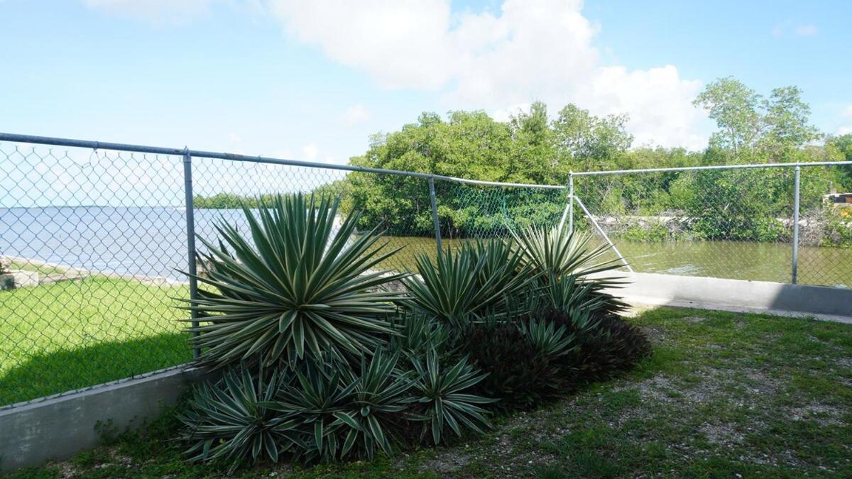 Sunrise 2-bed Sea View Near Airport With Infinity Pool & Deck, Ground Floor * Belize City