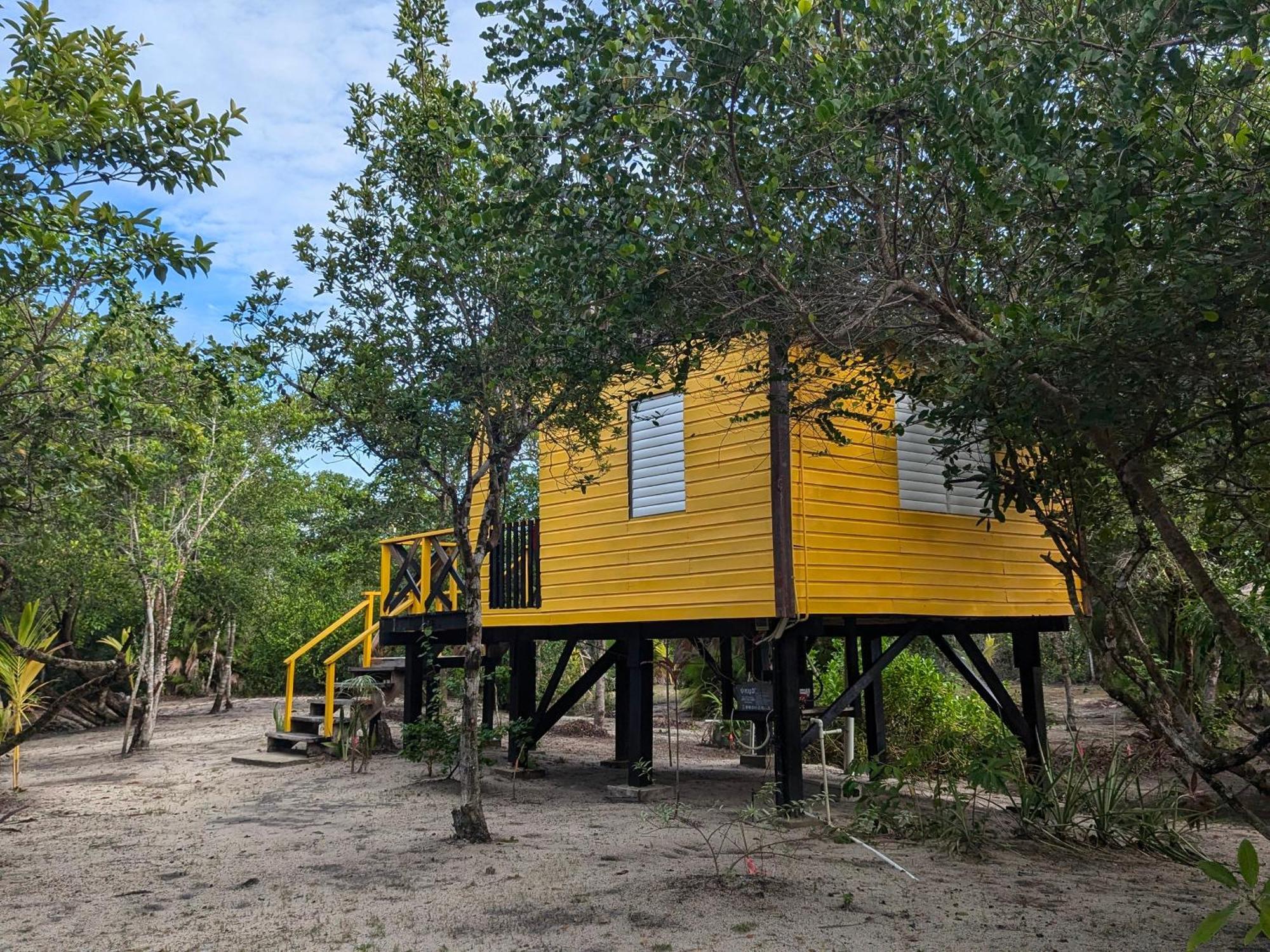 Palmento Grove Garifuna Eco-cultural & Healing Institute Bed & Breakfast 2*