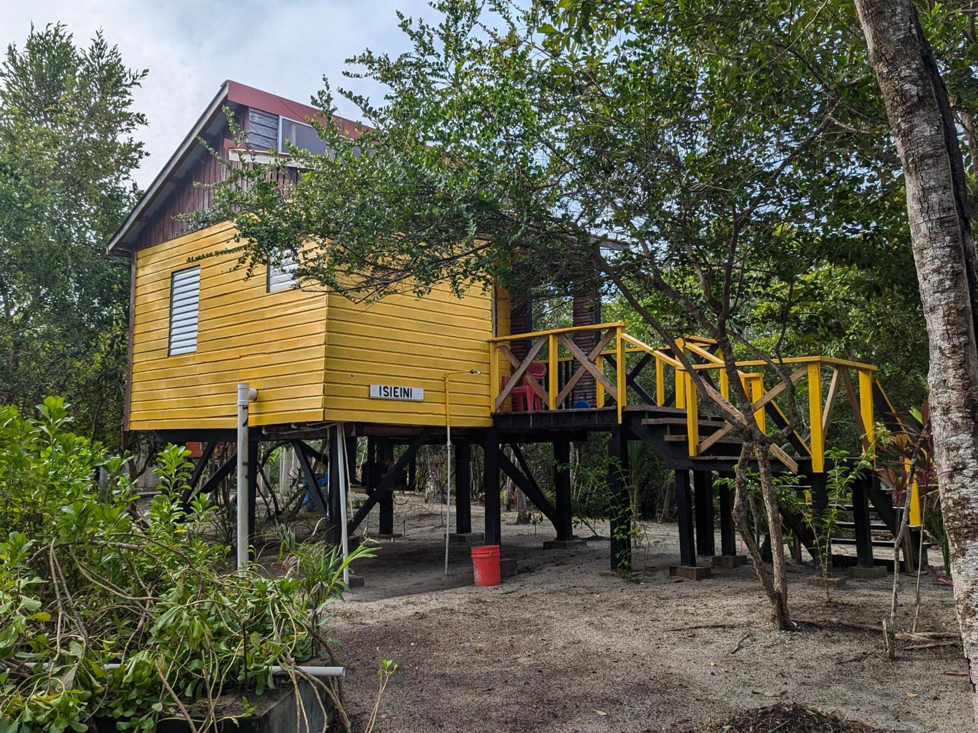 Bed & Breakfast Palmento Grove Garifuna Eco-cultural & Healing Institute 2*