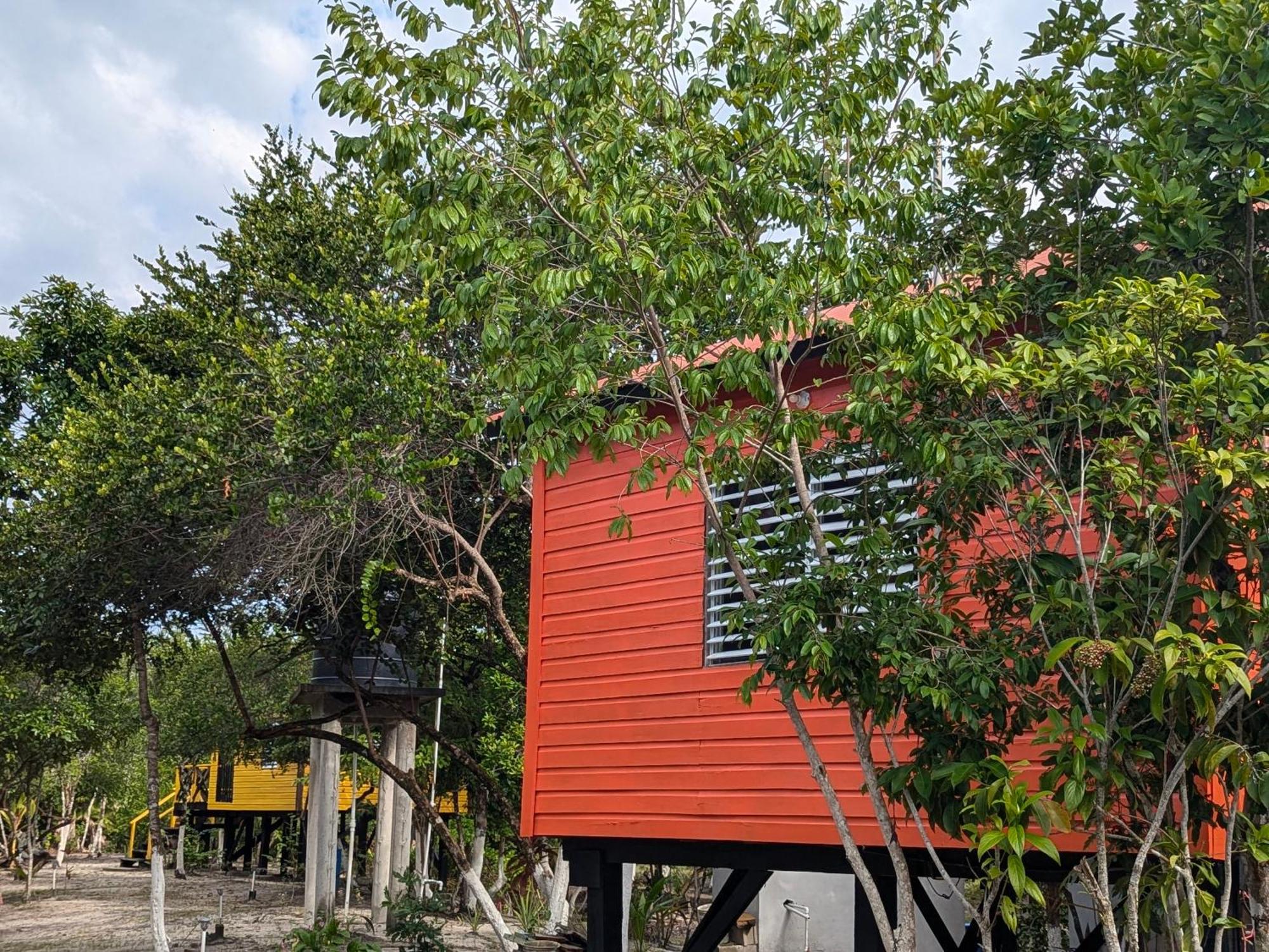 Bed & Breakfast Palmento Grove Garifuna Eco-cultural & Healing Institute Hopkins