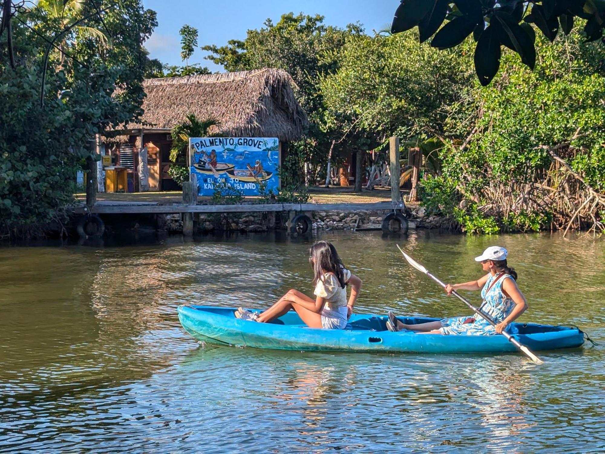 Palmento Grove Garifuna Eco-cultural & Healing Institute Bed & Breakfast