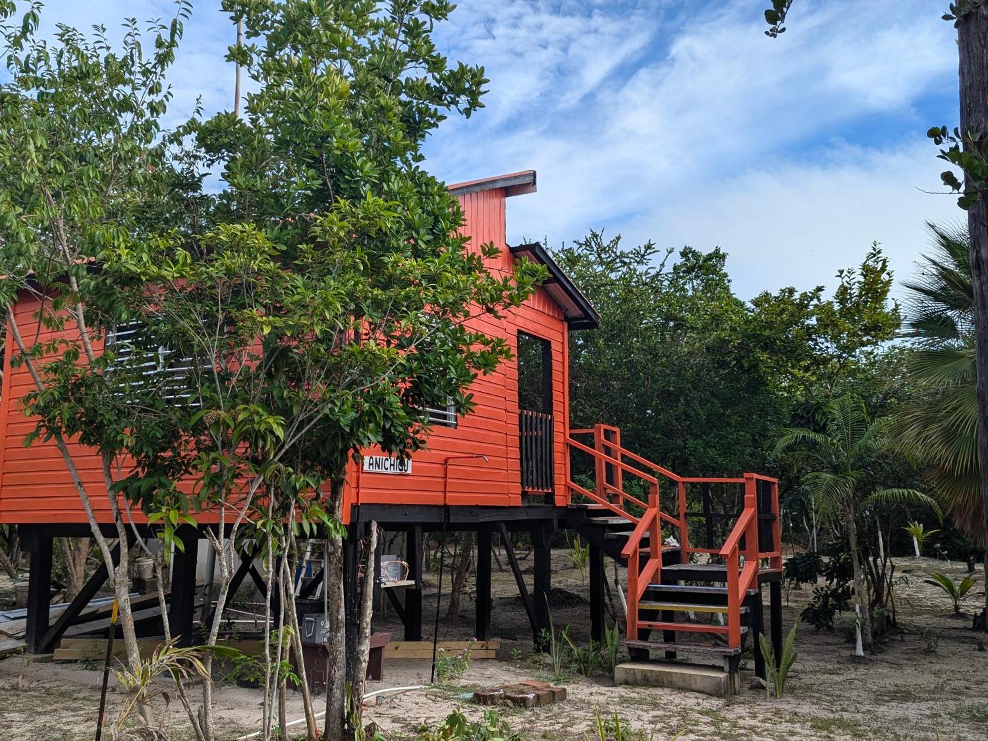 Palmento Grove Garifuna Eco-cultural & Healing Institute Bed & Breakfast Hopkins