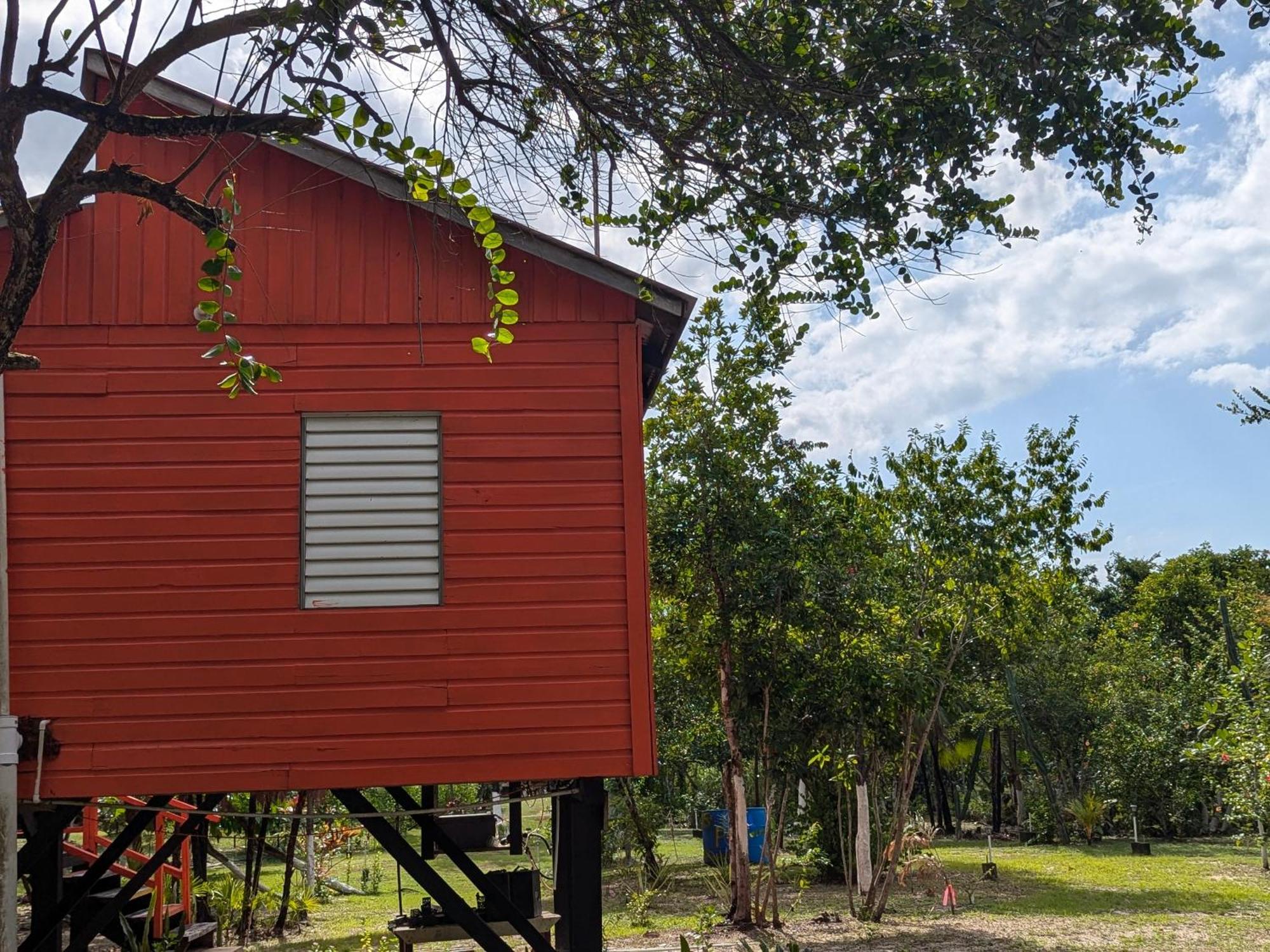 Palmento Grove Garifuna Eco-cultural & Healing Institute Hopkins