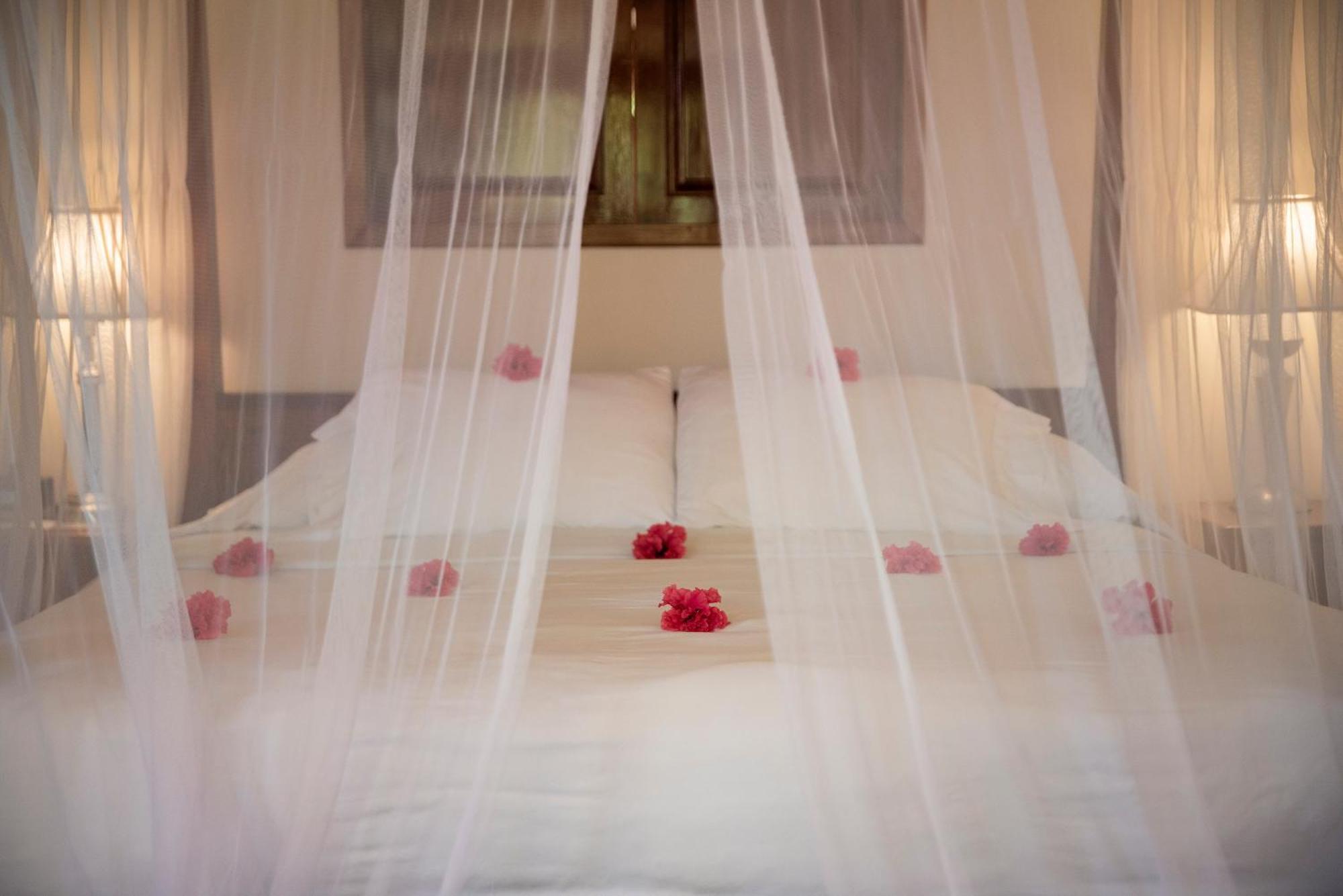 Resort Belizean Dreams 5*