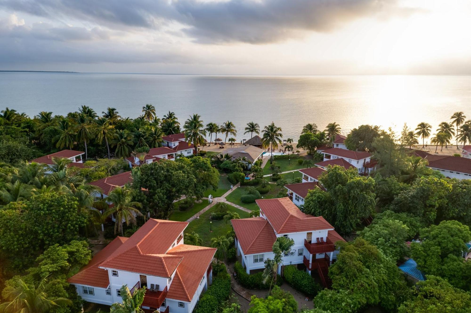 Belizean Dreams Hopkins