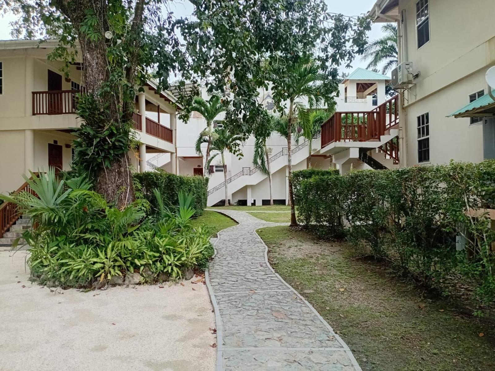 Hotel Black Orchid