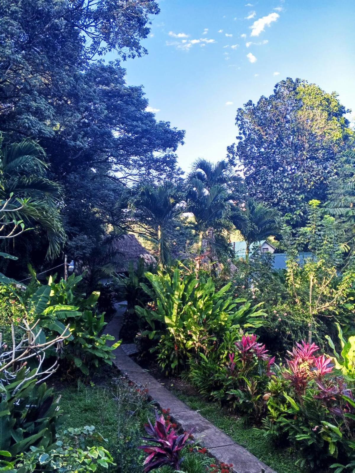 Maya Mountain