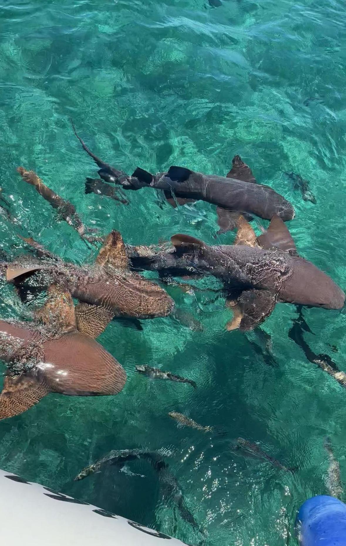 Botel Coba Belize