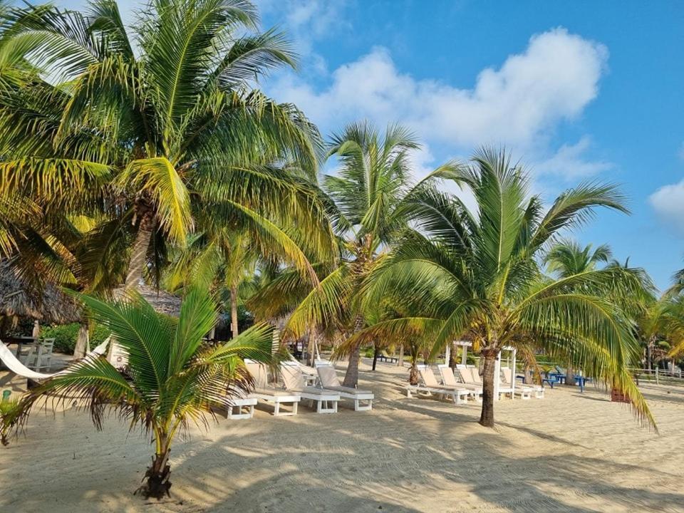 Caribbean