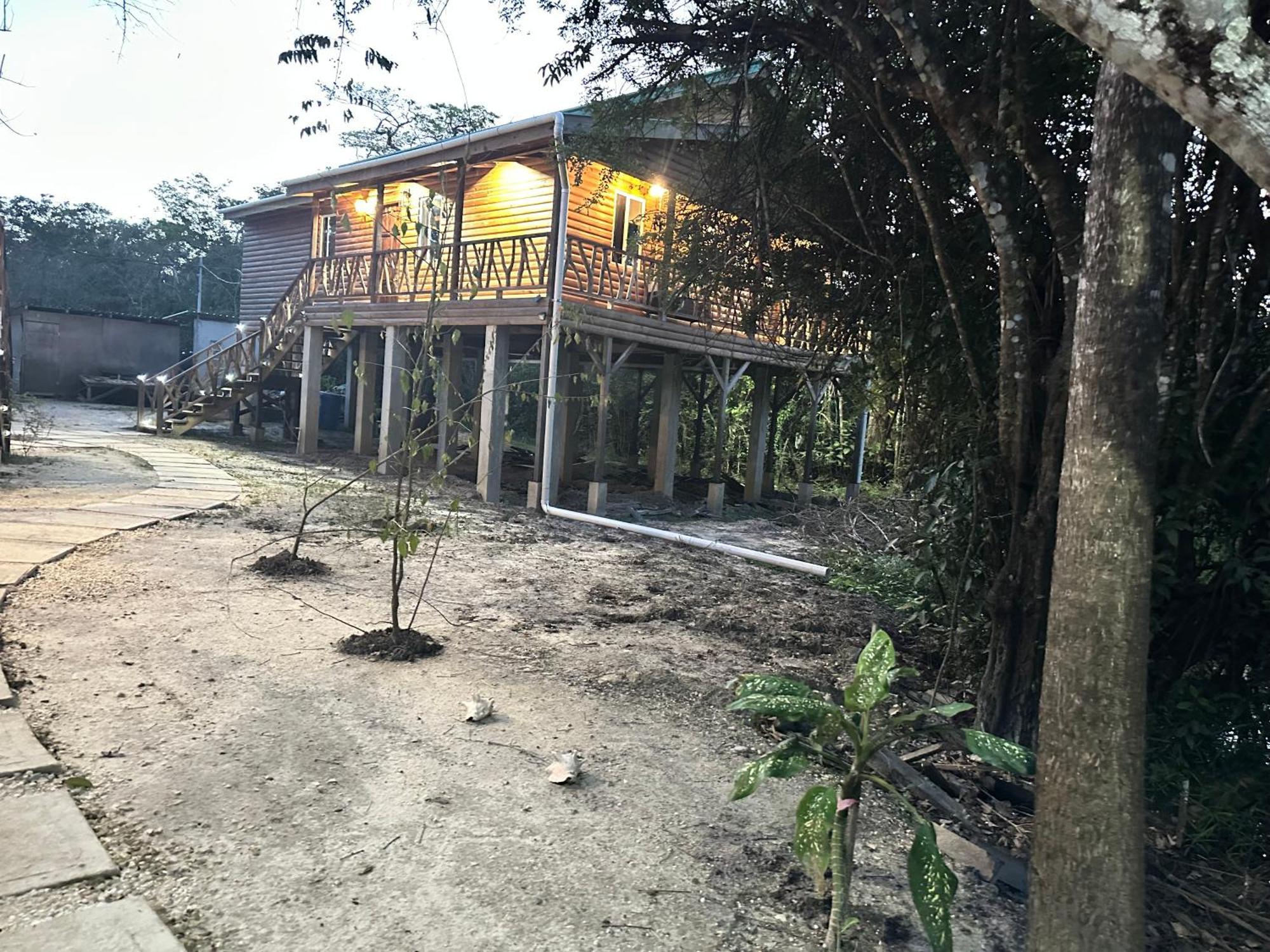 Howler Jungle Belize