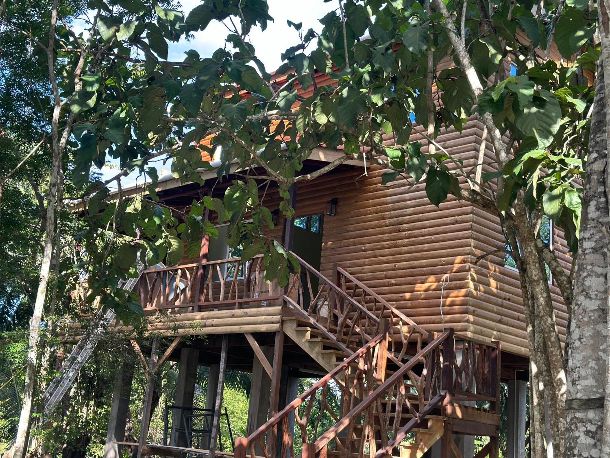 Howler Jungle Belize Hotel