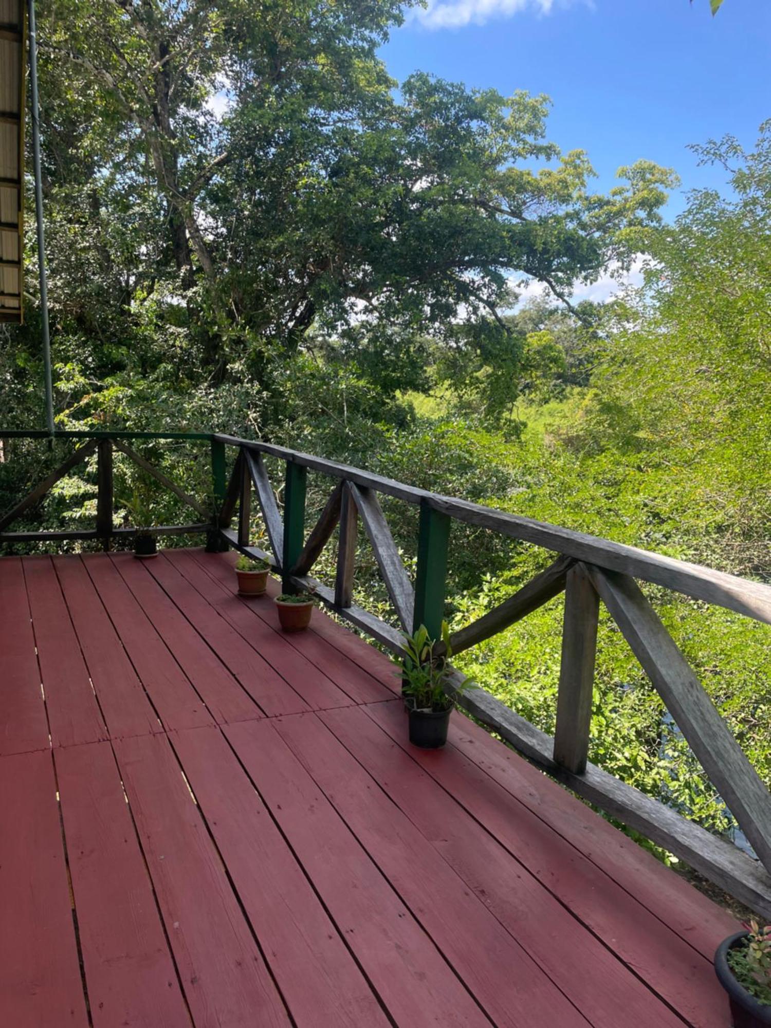 Howler Jungle Belize Hotel Belize City