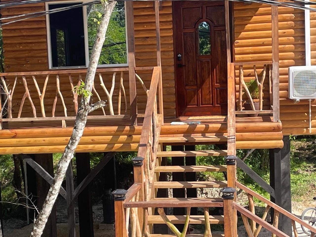 Howler Jungle Belize Hotel Belize City