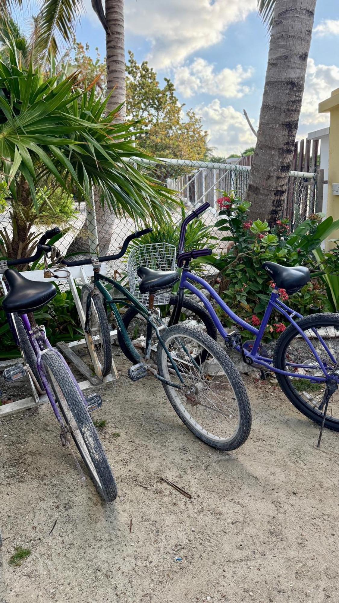 Guest house The Novelo Caye Caulker