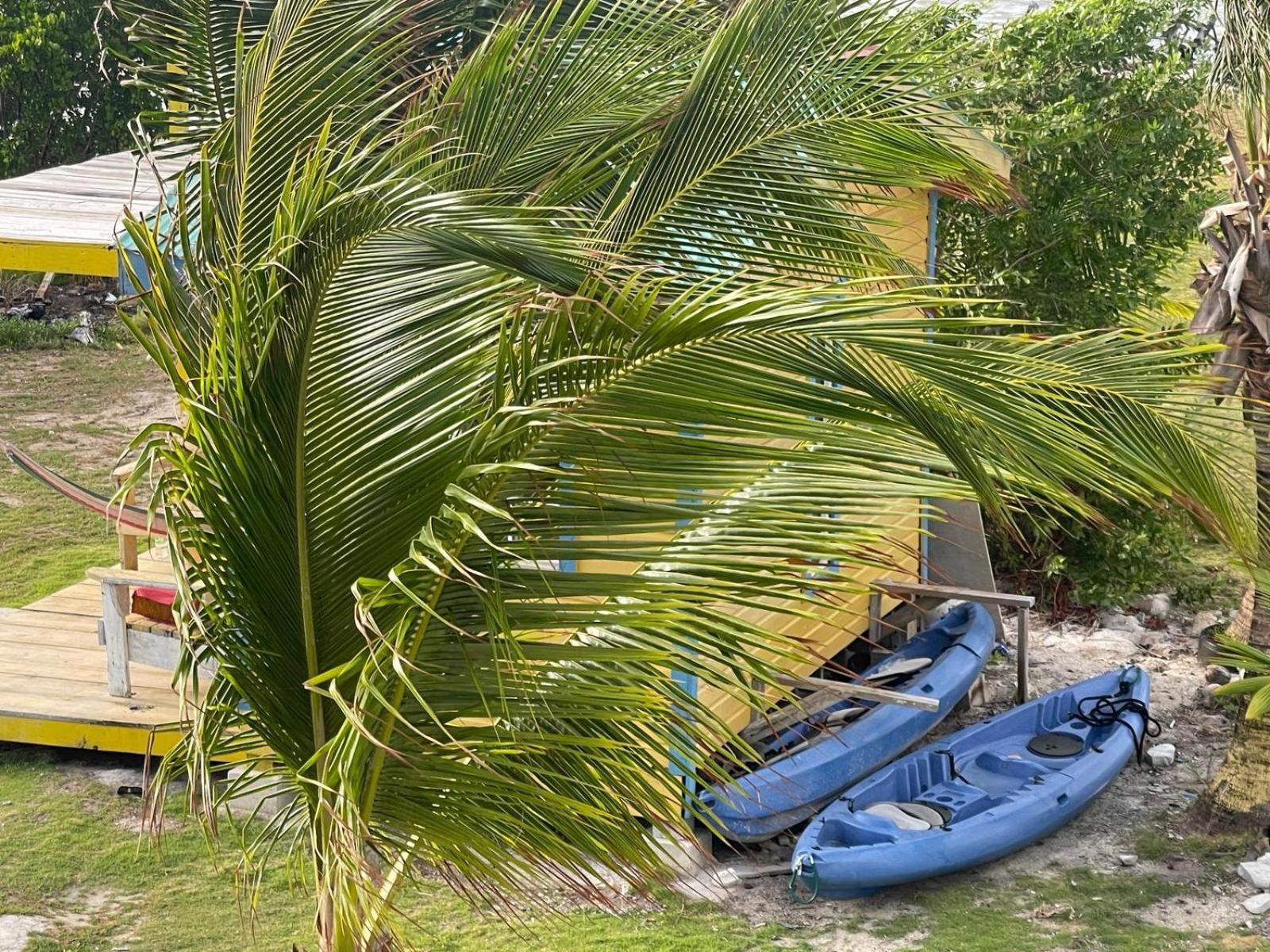 Guest house The Novelo Caye Caulker