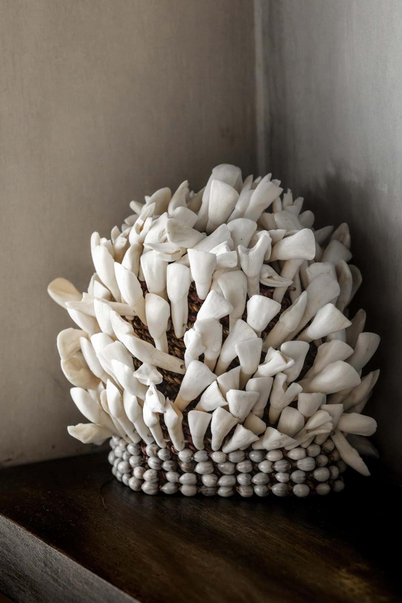 Abrazos By Floreo San Pedro (Ambergris Caye)