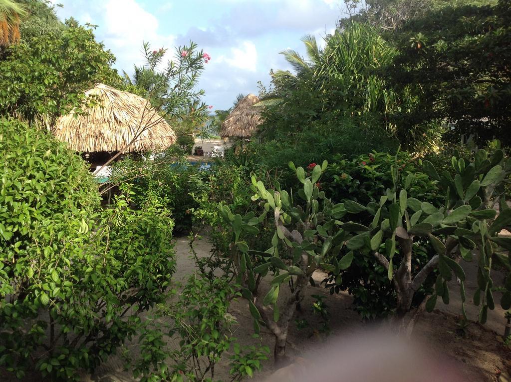 Miller's Landing * Placencia