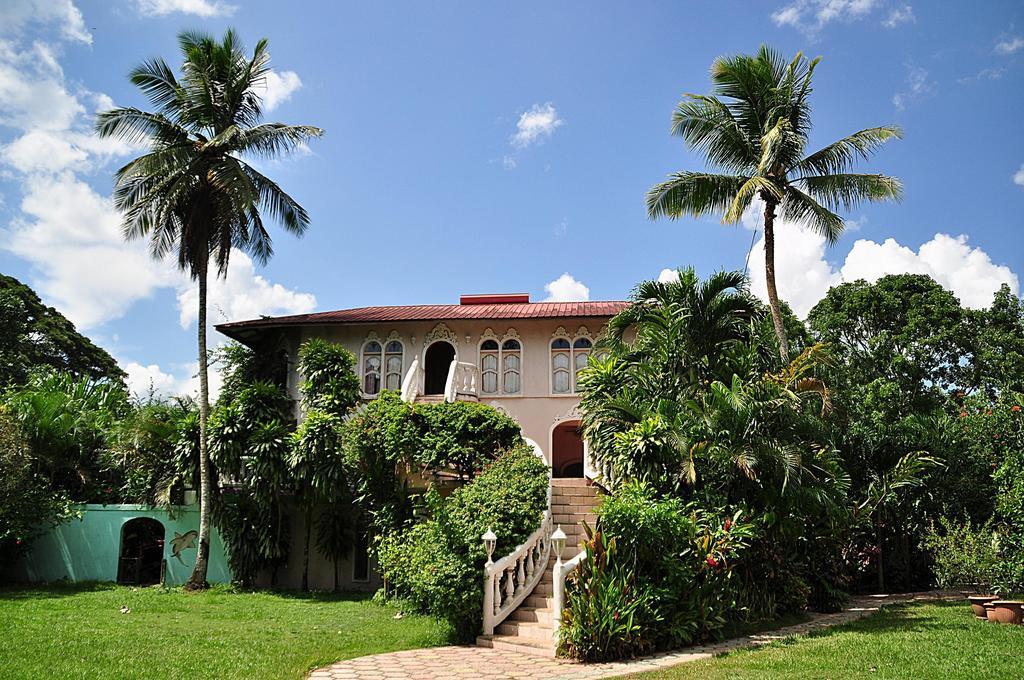 Banana Bank & Jungle Horseback Adventures Lodge *