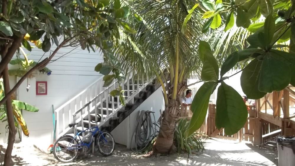 Hostel Pedro's &