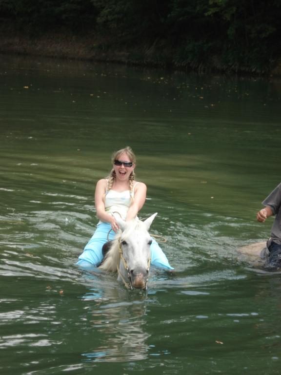 Lodge Banana Bank & Jungle Horseback Adventures