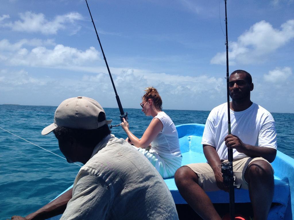 Palmento Grove Garifuna Eco-cultural & Healing Institute Bed & Breakfast Hopkins