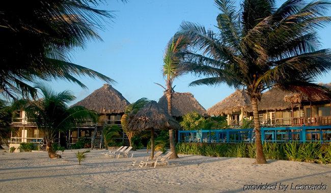 Exotic Caye Resort San Pedro (Ambergris Caye)