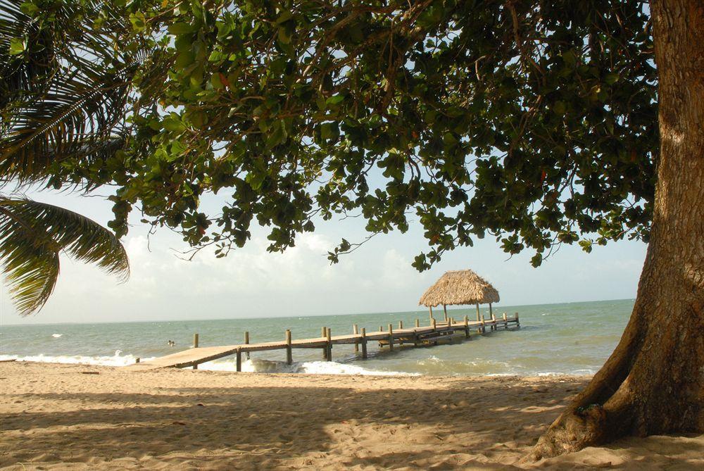 Almond At Jaguar Reef 4*