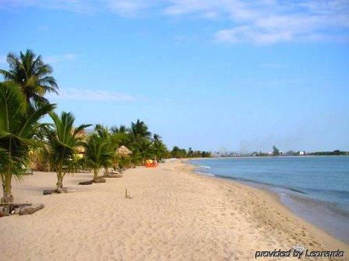 Michelo Placencia