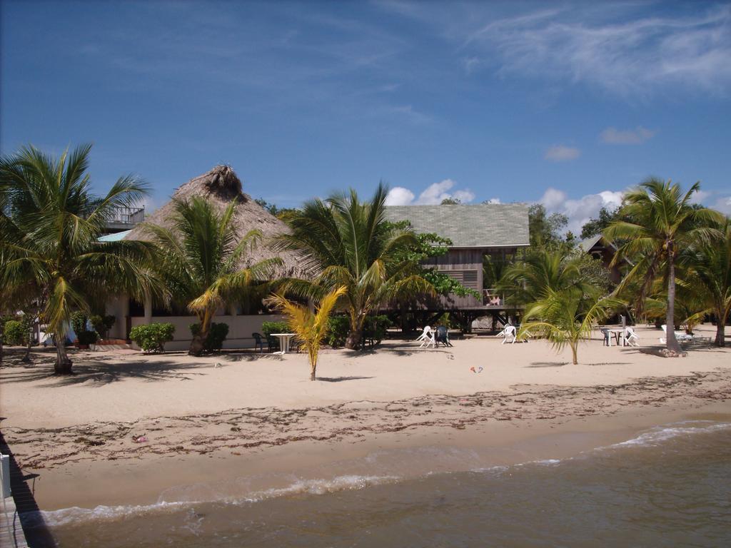 Lodge Green Parrot Beach Houses And Placencia