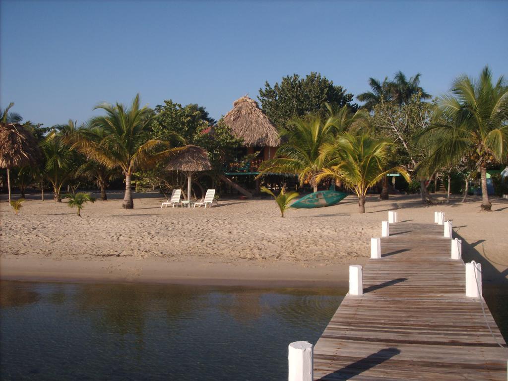 Lodge Green Parrot Beach Houses And Placencia