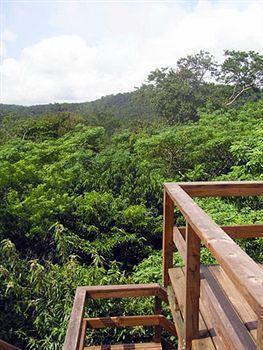 Crystal Paradise San Ignacio