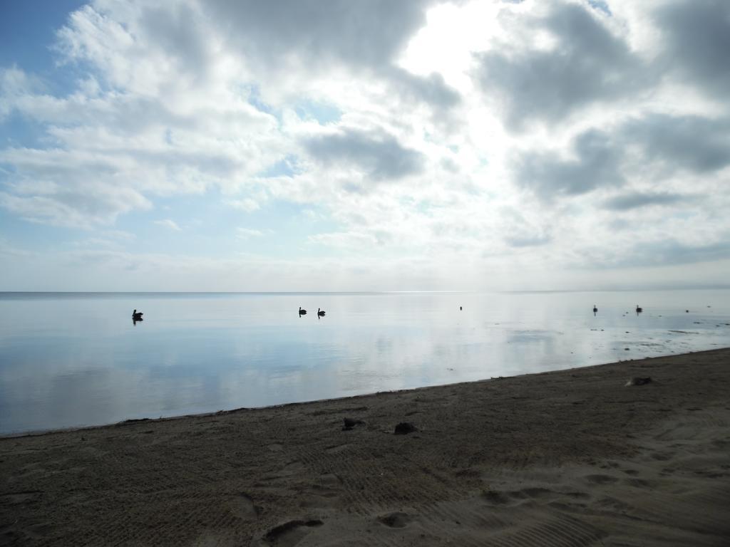 Sandpiper Beach Cabanas Dangriga