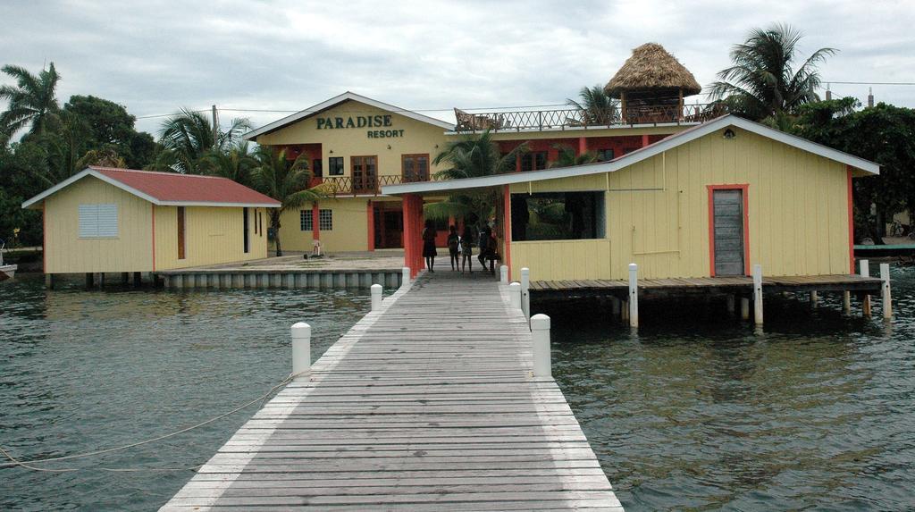 Hotel Alan's Paradise