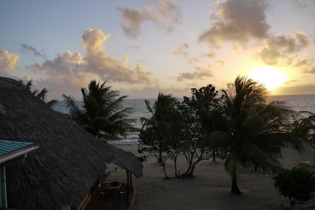 Lodge Green Parrot Beach Houses And
