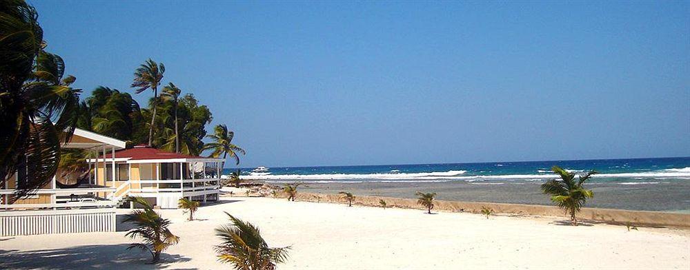 Resort Blue Marlin