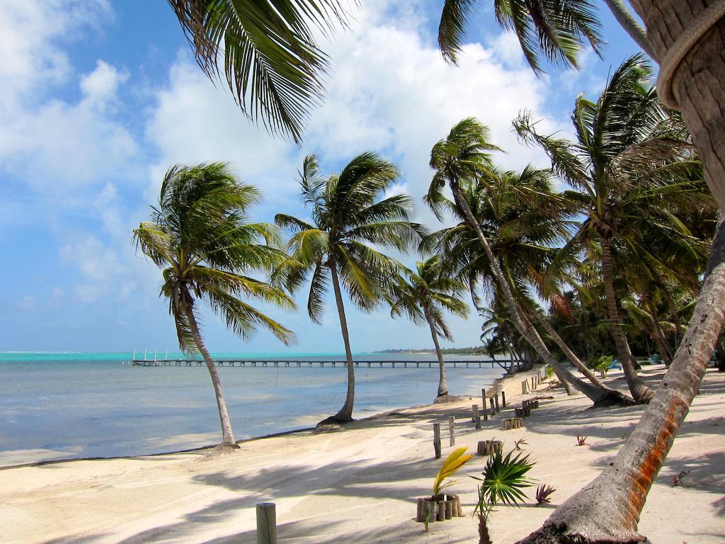 Holiday home Turtle San Pedro (Ambergris Caye)