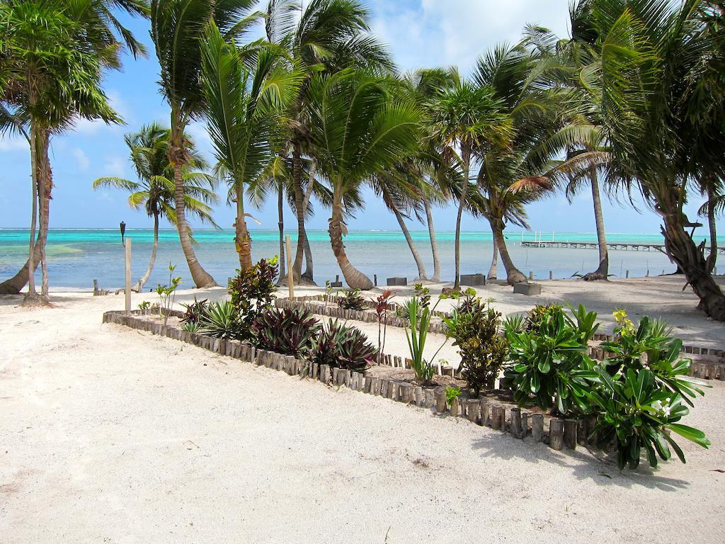 Holiday home Turtle San Pedro (Ambergris Caye)