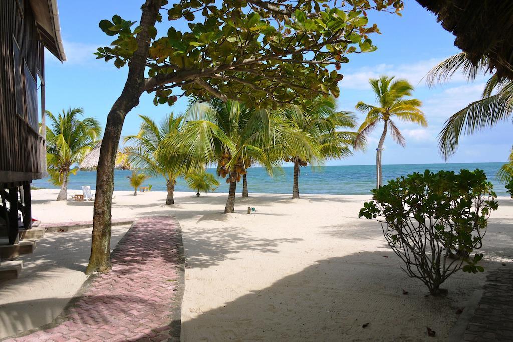 Lodge Green Parrot Beach Houses And
