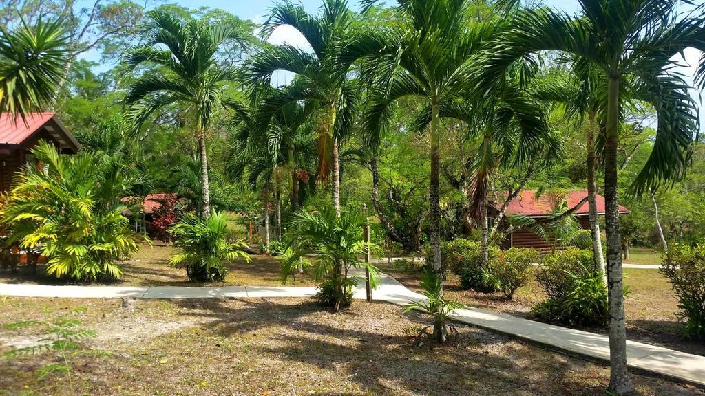 Resort The Log Cab-inn San Ignacio