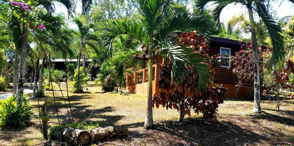 The Log Cab-inn San Ignacio