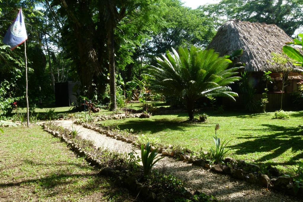 Lodge Macaw Bank Jungle San Ignacio