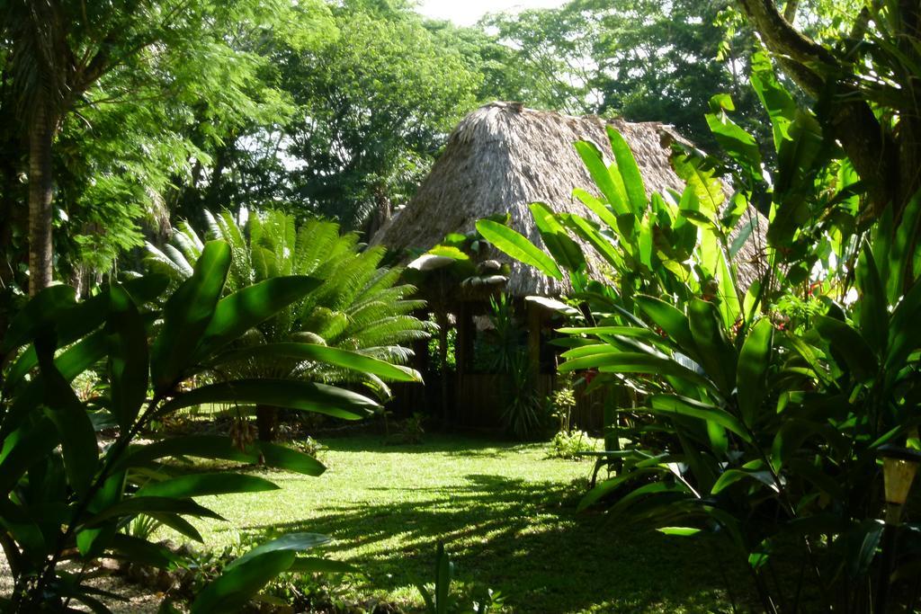 Lodge Macaw Bank Jungle San Ignacio