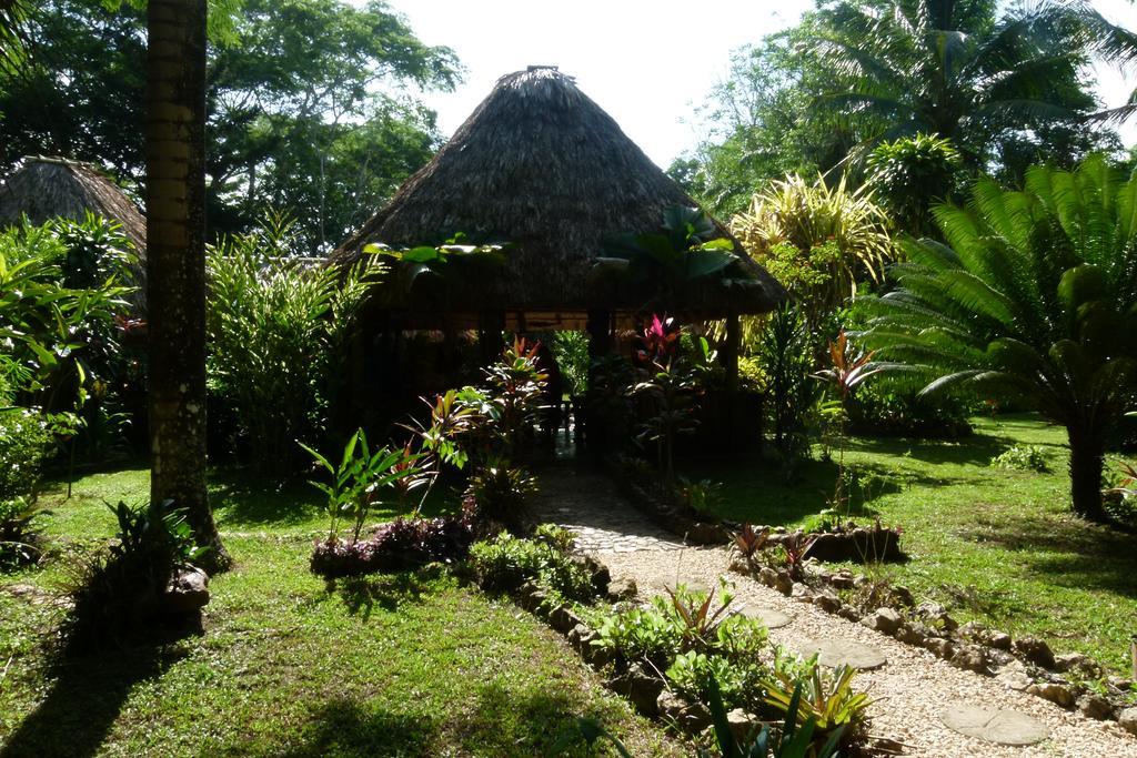Macaw Bank Jungle