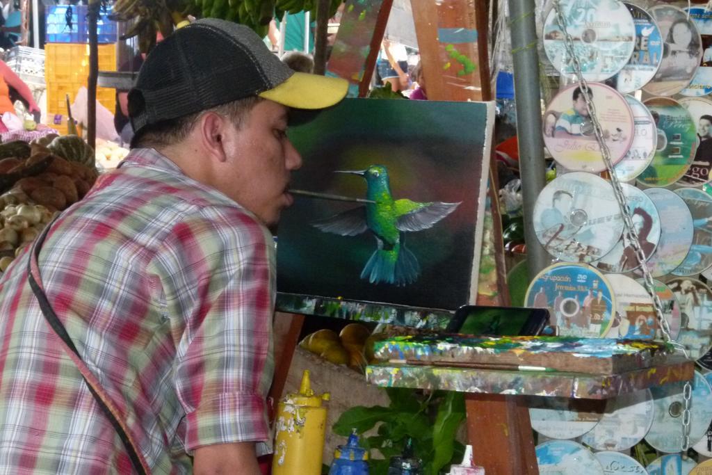 Macaw Bank Jungle