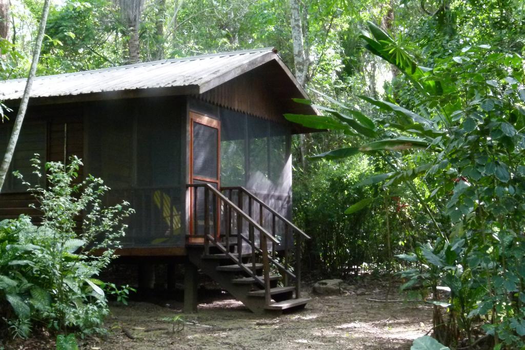 Lodge Macaw Bank Jungle *