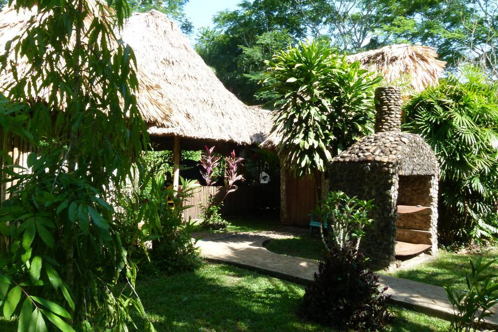 Lodge Macaw Bank Jungle San Ignacio